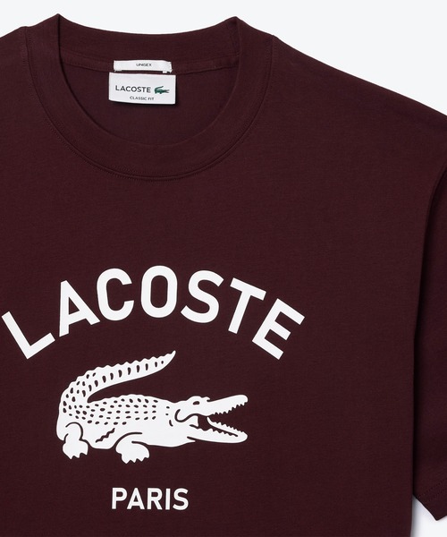 LACOSTE tシャツ ヘビーウェイト アーチネームカレッジロゴプリント 半袖Tシャツ メンズ レディース - 画像 (4)
