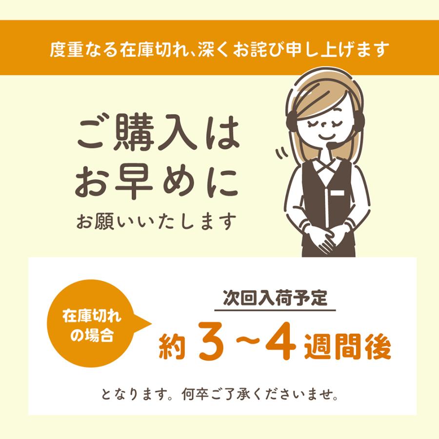 トートバッグ レディース ショルダー 小さめ 小ぶり おしゃれ 通勤 通学 肩掛け キャンバス 軽い カジュアル 手提げ 軽量 ミニ 帆布 a5 ペットボトル 仕切り - 画像 (8)