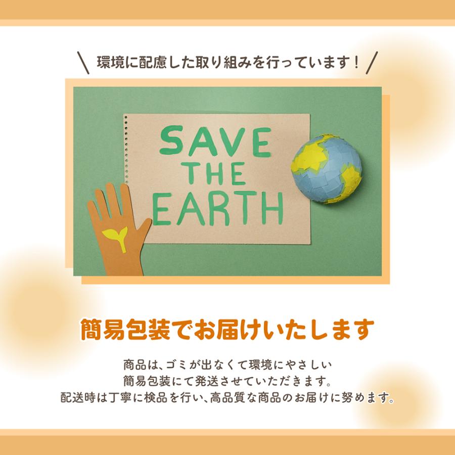トートバッグ レディース ショルダー 小さめ 小ぶり おしゃれ 通勤 通学 肩掛け キャンバス 軽い カジュアル 手提げ 軽量 ミニ 帆布 a5 ペットボトル 仕切り - 画像 (9)