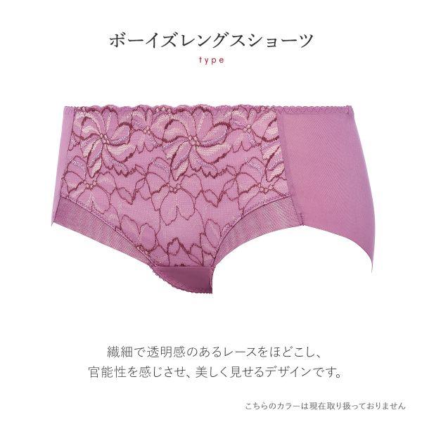 Triumph トリンプ TR582 天使のブラ スリムライン ショーツ ボーイズレングス ヒップハング ヘム 単品 - 画像 (2)