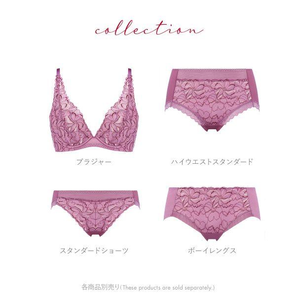 Triumph トリンプ TR582 天使のブラ スリムライン ショーツ ボーイズレングス ヒップハング ヘム 単品 - 画像 (6)